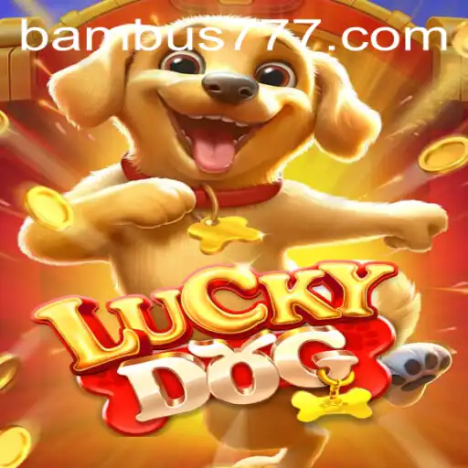 Descubra o Universo de LuckyDog: Regras e Eventos Atuais