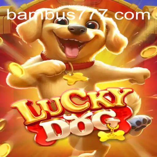 Descubra o Universo de LuckyDog: Regras e Eventos Atuais